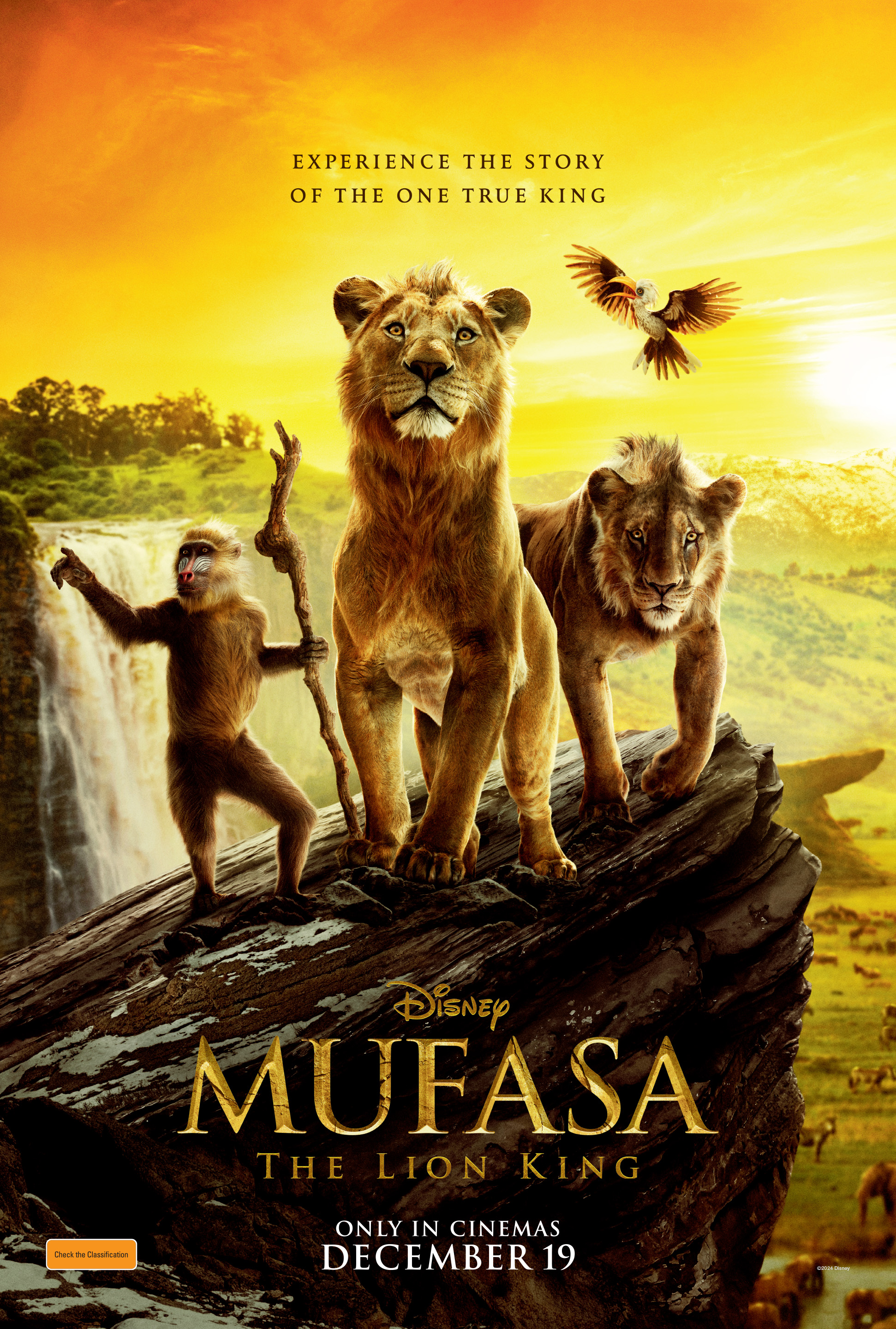 Mufasa The Lion King Hindi Dub Hoyts Cinemas