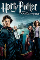 Harry Potter and the Goblet of Fire