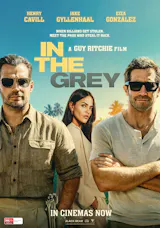 In the Grey