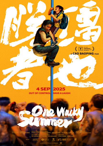 One Fair Summer Evening Plus  (海外版DVD) One Fair Summer Evening Plus (海外版DVD)