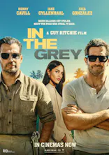 In the Grey
