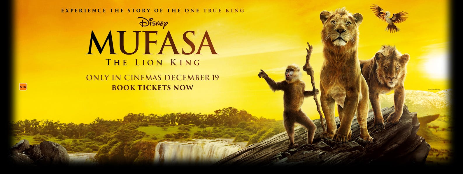 Mufasa: The Lion King