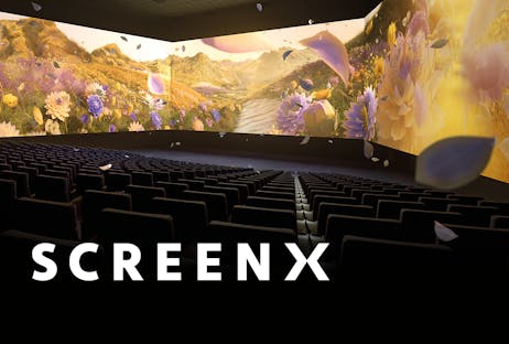 SCREENX