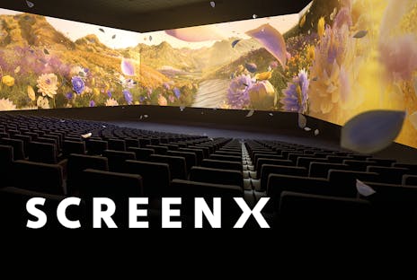 SCREENX