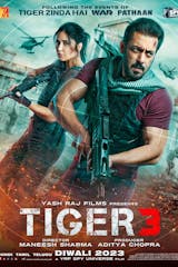 Tiger 3 (Hindi, Eng Sub)